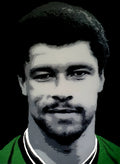 Paul McGrath Limited Edition Print